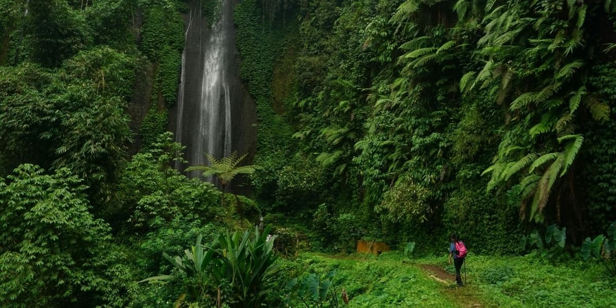 Why Regenerative Travel Is Replacing Leave No Trace